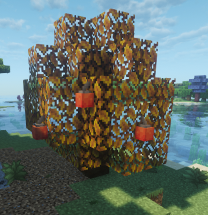 ぼんぐりガイド1