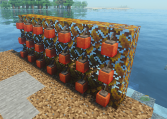 ぼんぐりガイド2